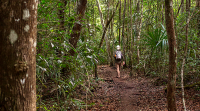 3 Day Tour to El Zotz Jungle Bat – adrenalinatours.com