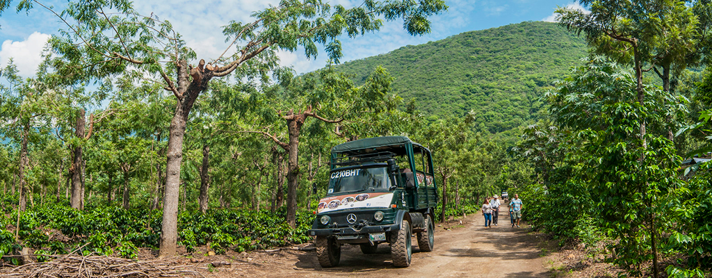 coffe-tour coffe-tour