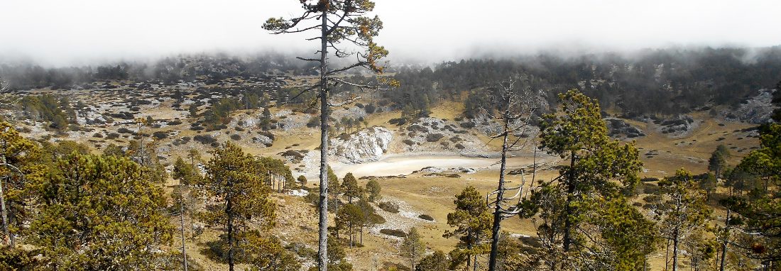 huehue-hikes-portada huehue-hikes-portada