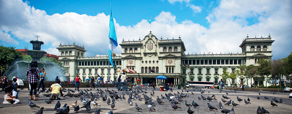 6-guate
