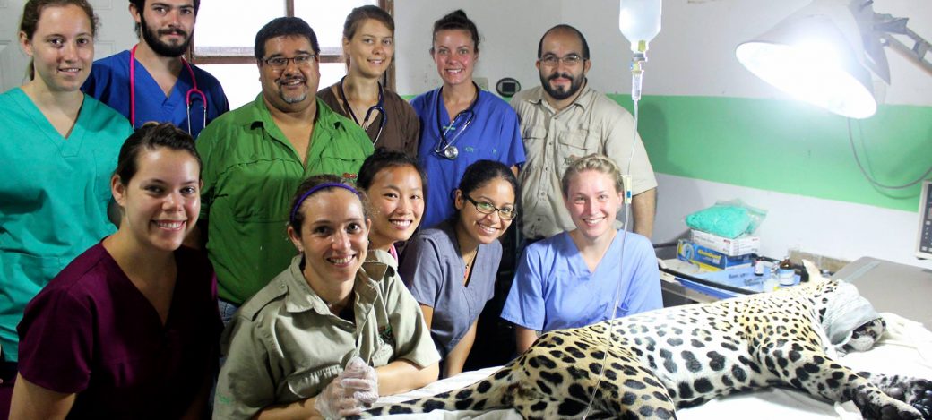 arcas-team arcas-team