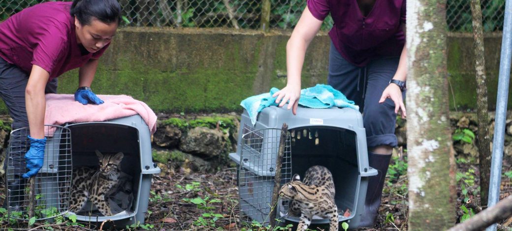 volunteering-in-guatemala volunteering-in-guatemala